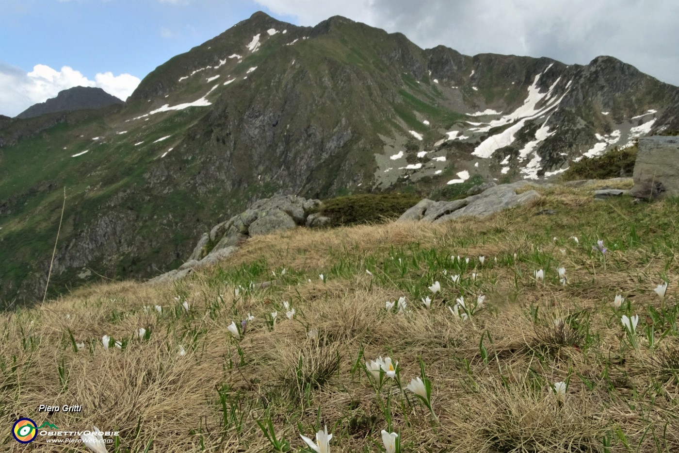 83 Crocus  con vista in Fioraro.JPG